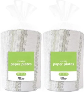 Basics Everyday Paper Plates 8 62 Inch Disposable 100 Count
