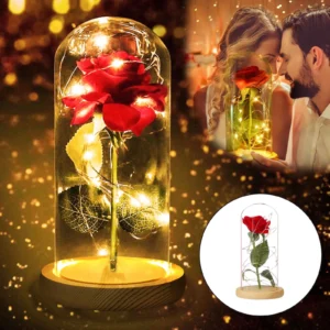 BrightSide Rain Cloud Mood Lamp with Mist USB Powered and Color Changing Lights
