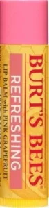 Burt s Bees Repairing Lip Butter Raspberry 0 5oz