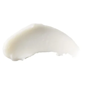 Burt s Bees Repairing Lip Butter Raspberry 0 5oz