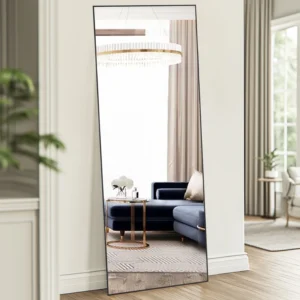 CONCETTA Rectangle Full Length Mirror 64 x21 Standing Mirror Floor Mirror Black