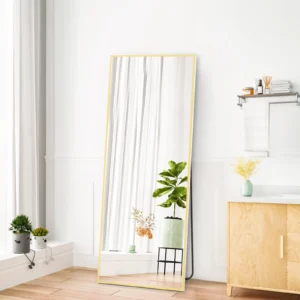 CONCETTA Rectangle Full Length Mirror 64 x21 Standing Mirror Floor Mirror Black