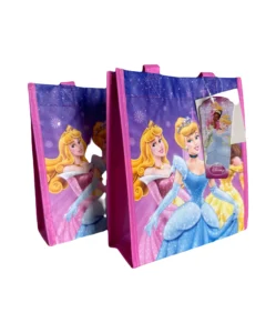 Disney Princess Clear Tote Gift Set