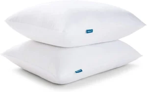 Mainstays Comfort Complete Pillow Standard Queen