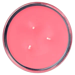 Mainstays Juicy Watermelon Scented 3 Wick Glass Jar Candle 11 5 oz