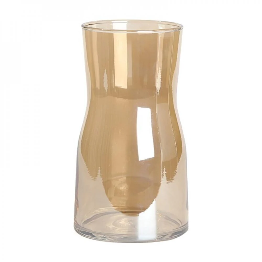 MS Dried Floral Glass Vase – Stylish Modern Home Decor Accent β alternate angle showing full product