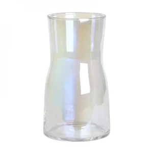 MS Dried Flrl Vase glass