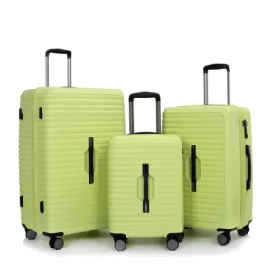 Tripcomp Luggage Sets 2 Piece Suitcase Set 14 20 Hardside Suitcase with Spinner Wheels Lightweight Carry On Luggage Black