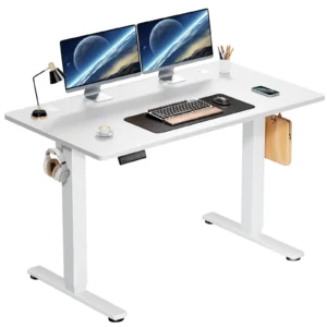 edx Electric Standing Desk Height Adjustable Desk 48 x 24 Inches Ergonomic Stand Desk Memory Preset T Shaped Metal Bracket Home Office