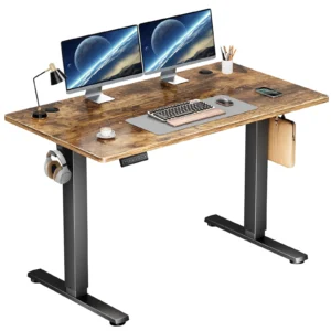 edx Electric Standing Desk Height Adjustable Desk 48 x 24 Inches Ergonomic Stand Desk Memory Preset T Shaped Metal Bracket Home Office