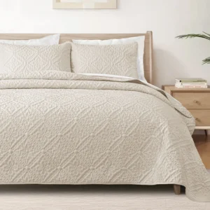 Exclusivo Mezcla Queen Quilt Bedding Set Lightweight Vintage Size Quilts Pillow Shams Soft Bedspreads Coverlets All Seasons 96 x90 Brich Beige