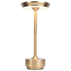 FRINGE LED LAMP