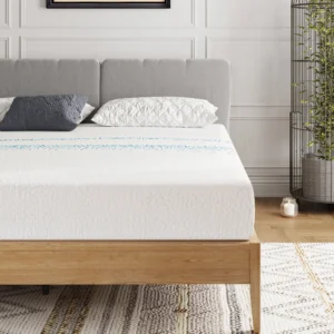 MLILY Essence Sleep 6 Twin Memory Foam Mattress