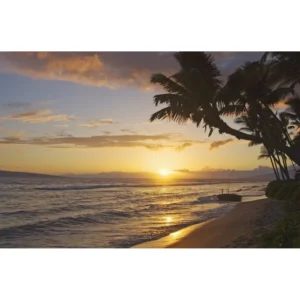Seort 24oz Insulated Water Bottle – Smart Temp Display, Stainless Steel