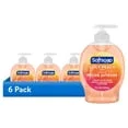 Softsoap Juicy Peach Liquid Hand Soap 7.5 oz – Gentle Clean